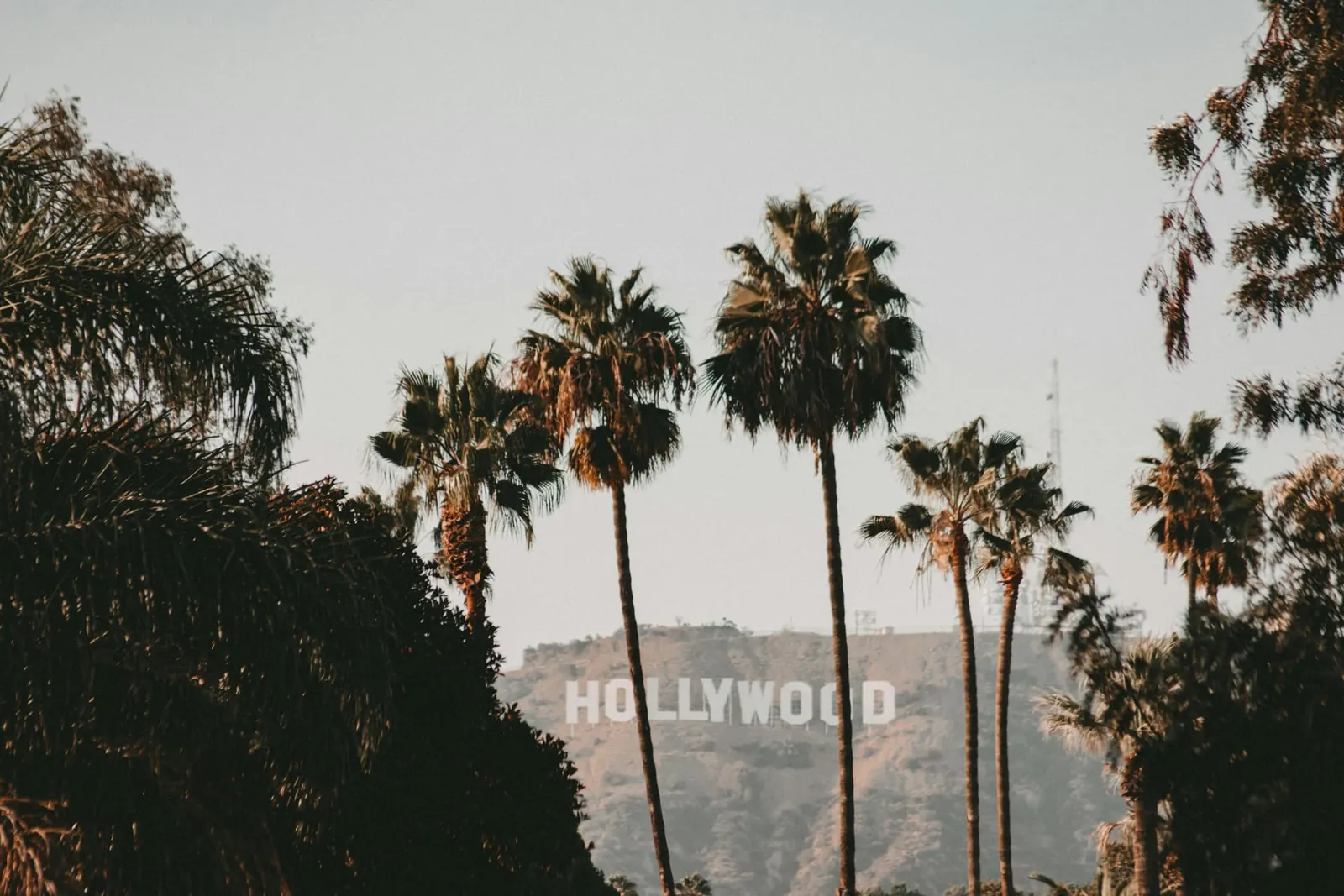 Los Angeles skyline